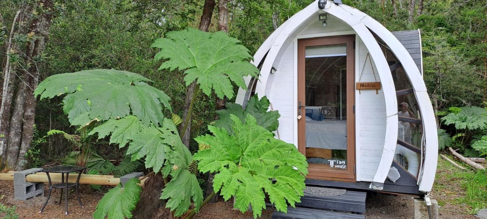 Cabanas Los Volcanes Ensenada Puerto Varas Exteriör bild